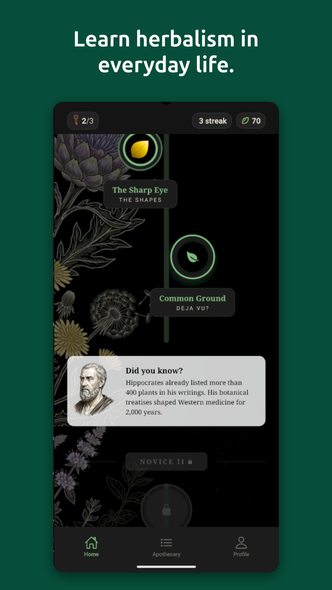 Capture d'écran de l'application Vervain — apprentissage de l'herboristerie
